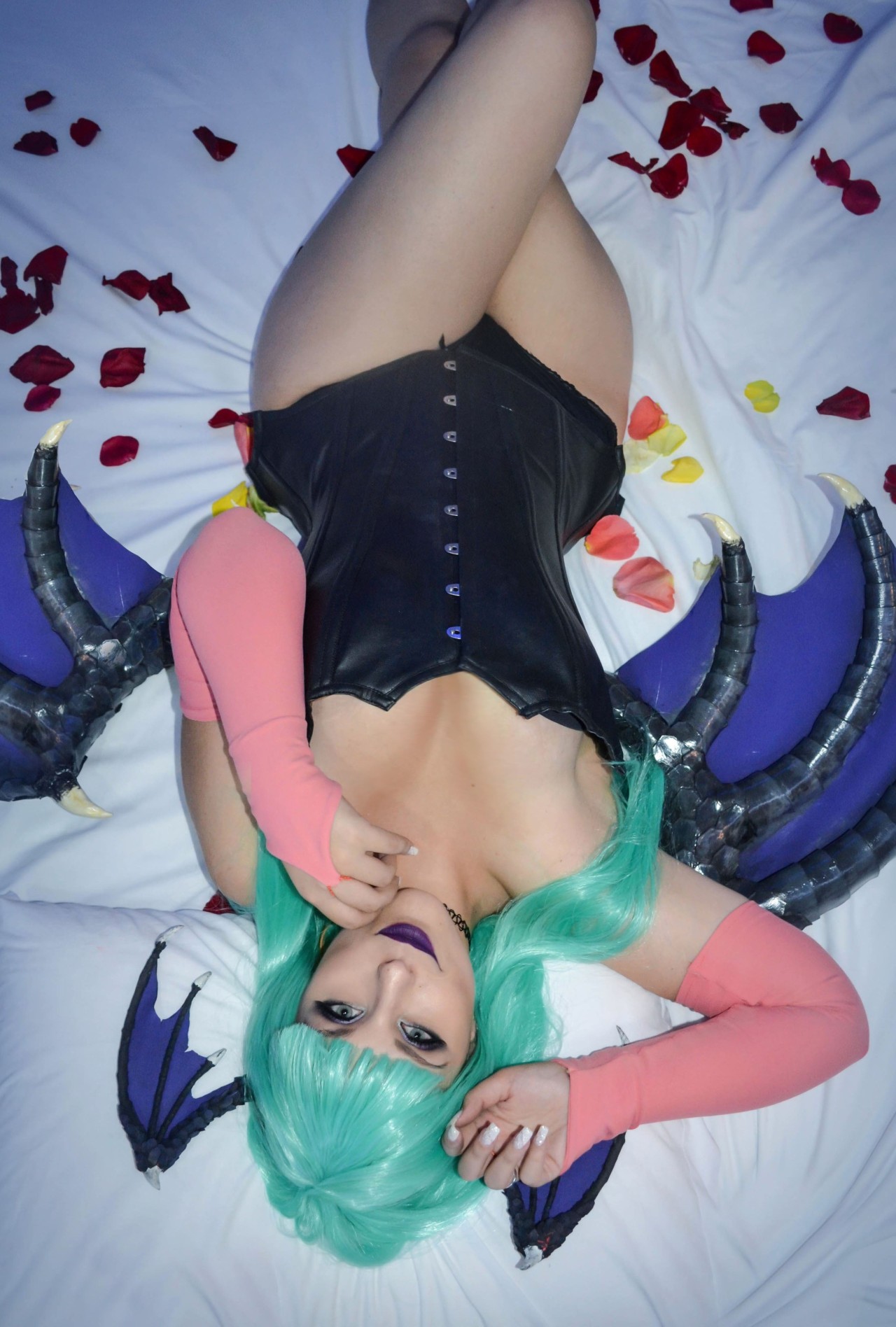 Cosplay Blog — Morrigan from Darkstalkers  Cosplayer: Thabata…